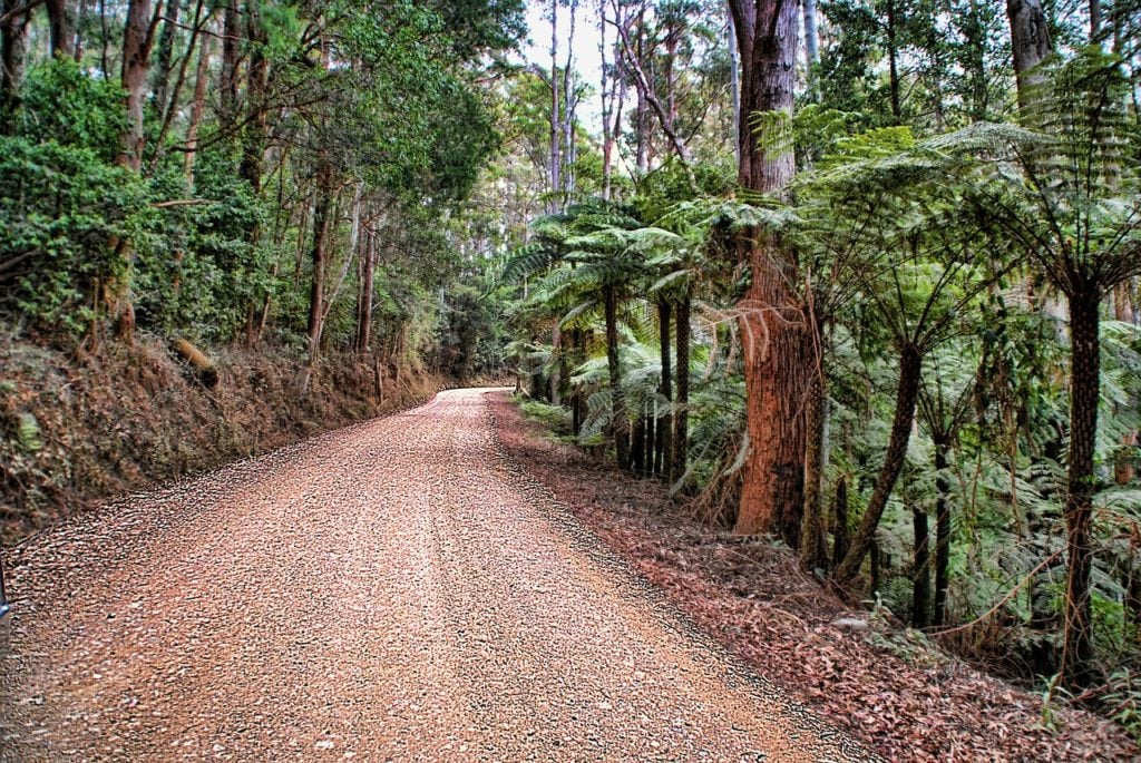 unsealed-road-far-north -queensland 4WD Hire Cairns